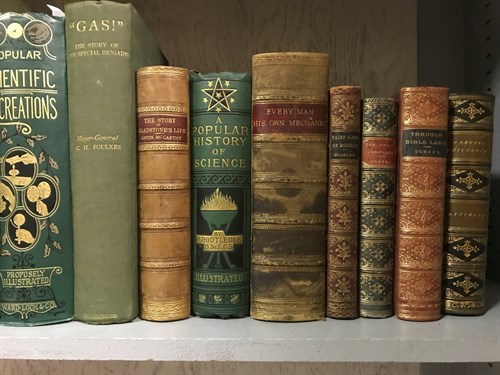 Lot 382 - Popular science, prize bindings etc. WARD (C...