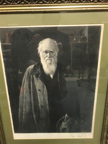 Lot 195 - Léopold Flameng after John Collier, portrait of Charles Darwin