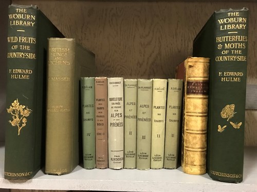 Lot 293 - Illustrated, natural history, etc. BRICKDALE...