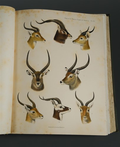 Lot 279 - BRYDEN (H A; editor) The Great and Small Game...