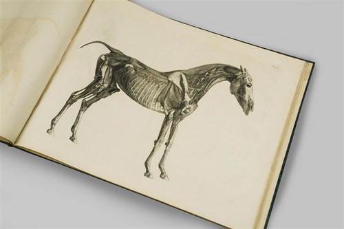 Lot 406 - STUBBS (George) The Anatomy of the Horse.., in...
