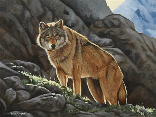 Lot 334 - Steve Burgess (Canadian/British, b.1960)