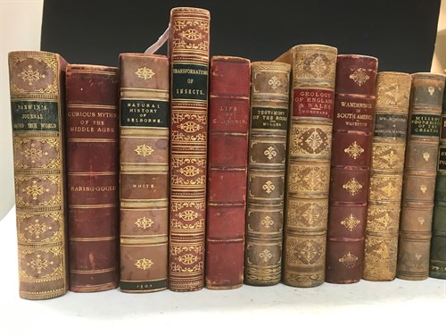 Lot 142 - Bindings. DARWIN (Francis) Charles Darwin his...
