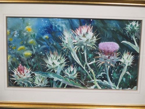 Lot 364 - Richard H Bolton (b. 1950), Thistles, gouache,...