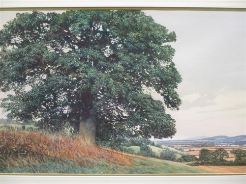 Lot 384 - Richard H Bolton (b. 1950), Hillside near Hay...