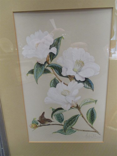 Lot 379 - Marjorie Blamey MBE, Wren and Magnolia, still...