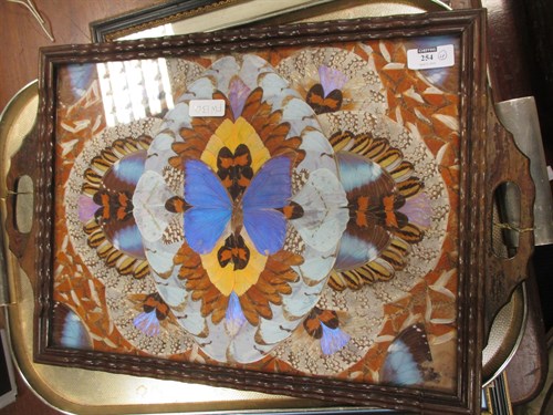 Lot 254 - Three needlework pictures and a butterfly tray