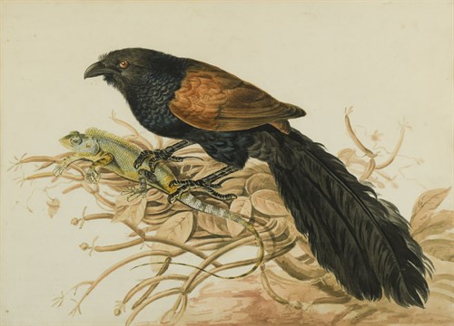 Lot 329 - English School, 19th Century