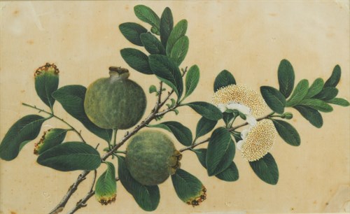 Lot 146 - Chinese School, 19th Century
