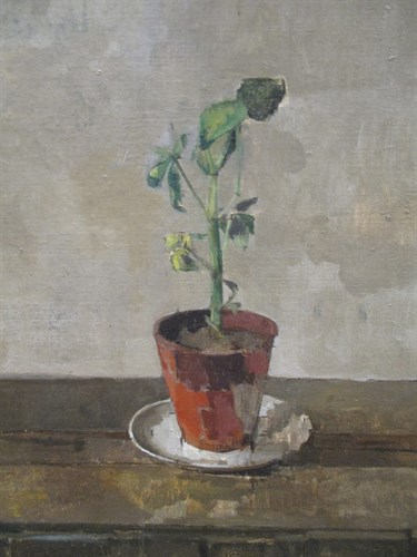 Lot 83 - *** Gay (Modern British School) 'Ivy plant,...