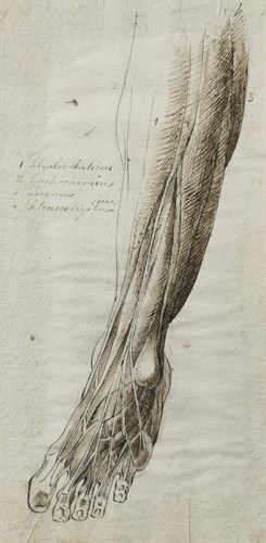 Lot 95 - Italian School, 18th Century