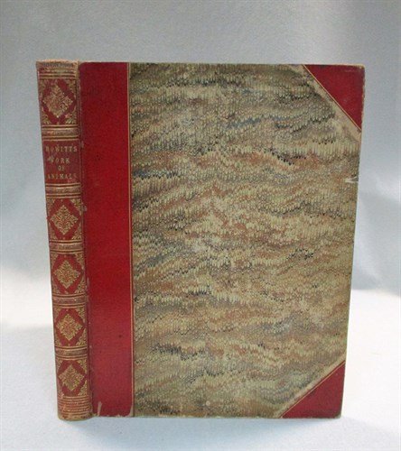 Lot 421 - HOWITT (Samuel) A New Work of Animals......