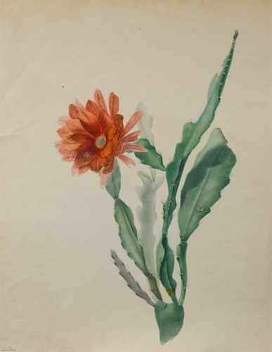 Lot 145 - English School, early 19th Century