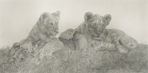 Lot 327 - Sally Hynard (British, 20th Century)