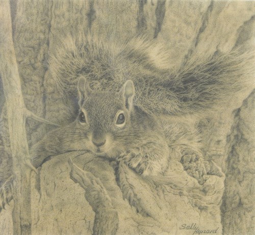 Lot 326 - Sally Hynard (British, 20th Century)