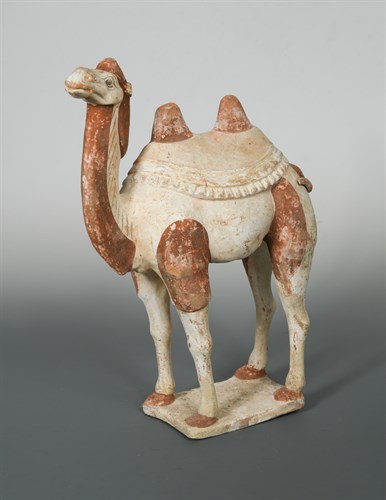 Lot 94 - A painted pottery model of a camel, Tang Dynasty
