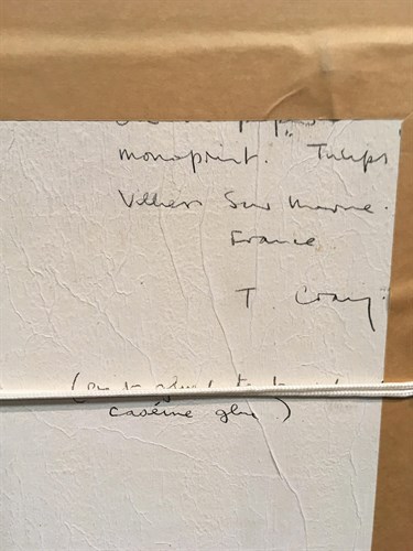 Lot 30 - T Craig, Tulips, mixed media, signed "Craig...