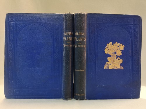 Lot 223 - Wooster (David)