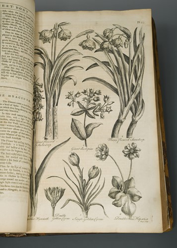 Lot 209 - HALE (Thomas)
