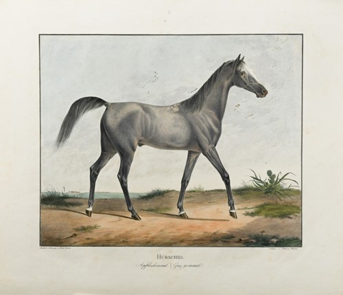 Lot 69 - Lorenz Ekeman-Allesson (German, 1791-1828) after Rudolf Kuntz (German, 1798-1848)
