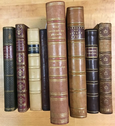 Lot 214 - Natural history - bindings.