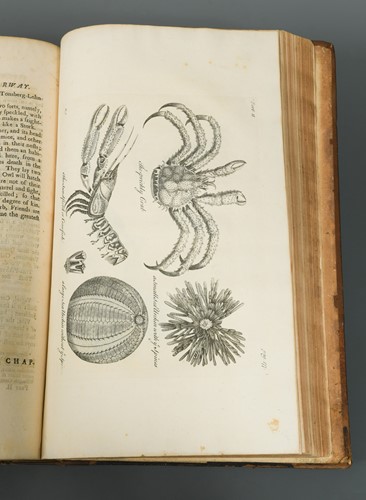 Lot 267 - PONTOPPIDAN (Erich)