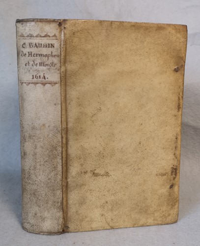 Lot 145 - BAUHINUS (Caspar)