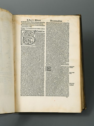 Lot 152 - ALBERTUS MAGNUS.