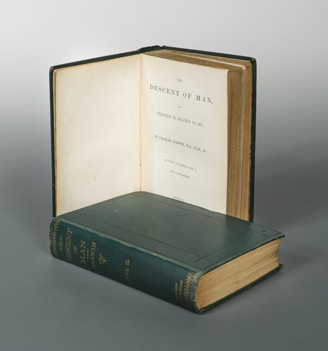 Lot 204 - DARWIN (Charles)