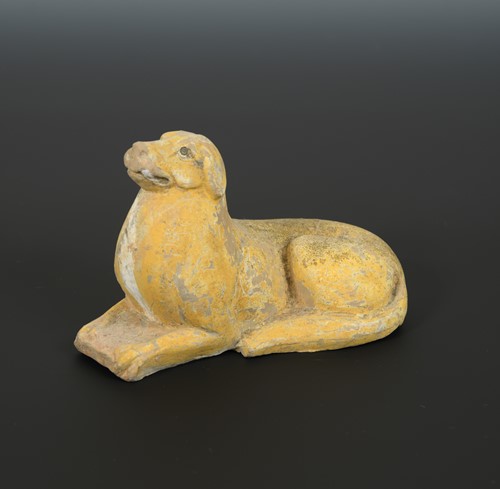 Lot 163 - A Chinese pottery recumbent hound, Wei Dynasty