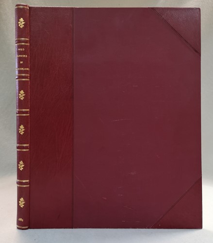 Lot 226 - WARD (Mrs H C)
