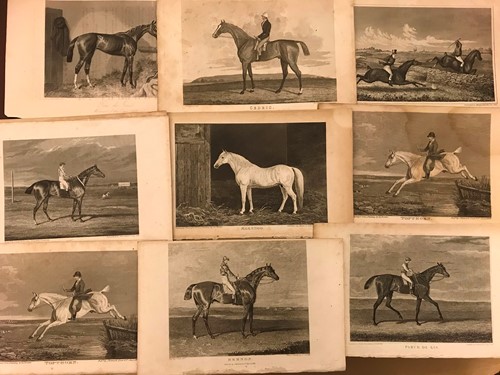 Lot 63 - Racehorses