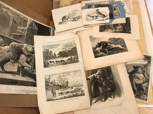 Lot 77 - Dogs, a folder of mixed prints