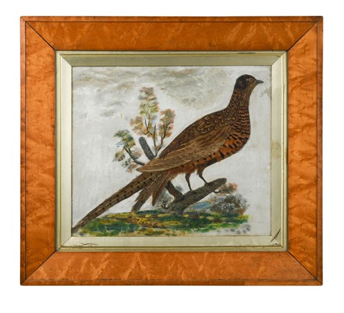 Lot 33 - A Feathered cock pheasant on a branch, 19th century