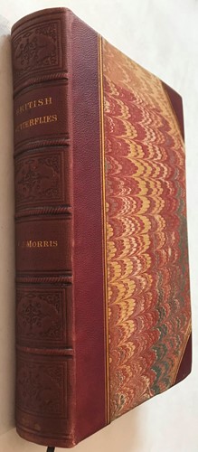 Lot 320 - MORRIS (Rev. F O)