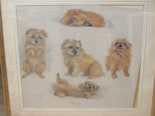 Lot 377 - Davina OWEN (Modern British) Milly - studies...