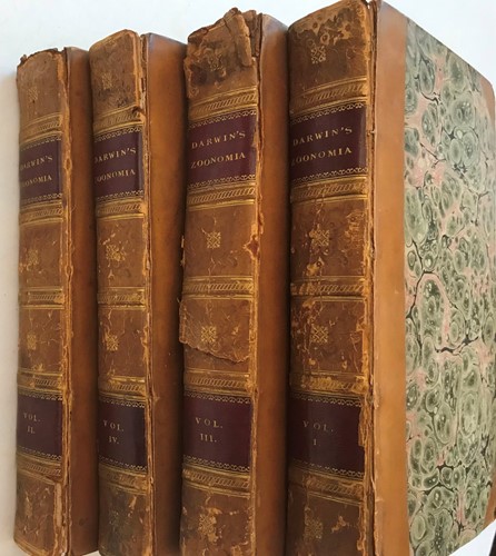 Lot 172 - DARWIN (Erasmus)