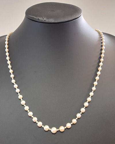Lot 189 - A necklace of graduating natural saltwater pearls
