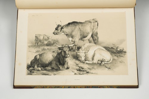 Lot 226 - COOPER (Thomas Sidney)