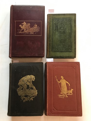 Lot 286 - DU CHAILLU (P)