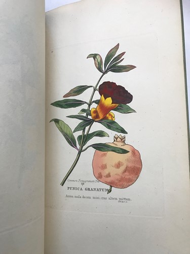 Lot 239 - VIRGIL.