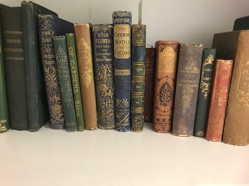 Lot 240 - Flora and fauna.