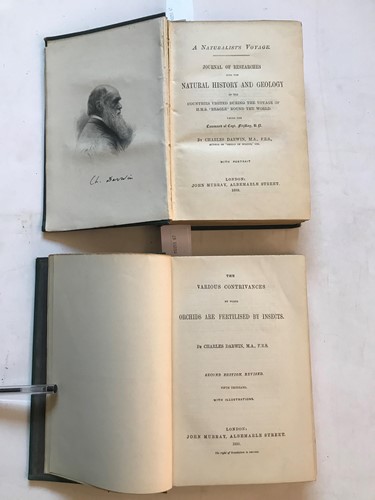 Lot 279 - DARWIN (Charles)