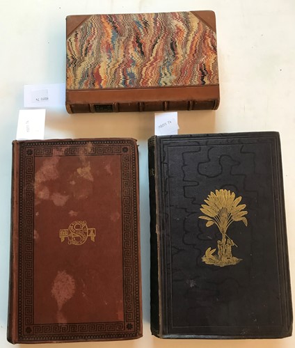 Lot 281 - ELLIS (Rev. W)