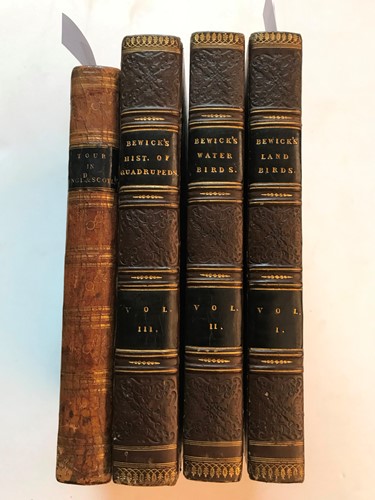 Lot 233 - BEWICK (T)