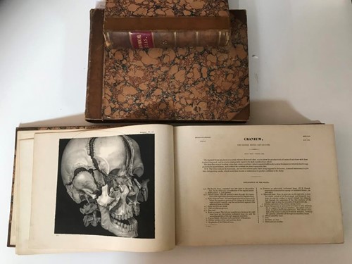 Lot 243 - Human anatomy - atlas.