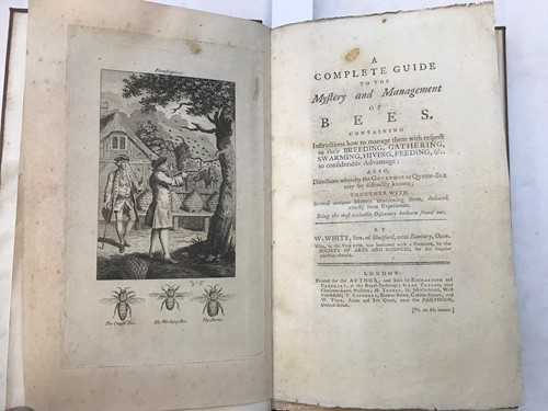 Lot 135 - WHITE (William)