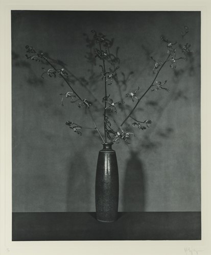Lot 245 - Robert Mapplethorpe (American, 1946-1989), Flowers 3, from Flowers, 1983