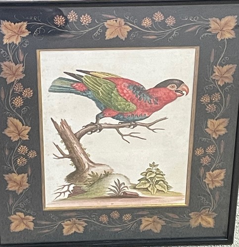 Lot 49 - George Edwards, First Black-Capped Lory, hand...