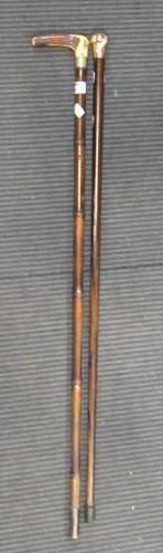 Lot 107 - A 9ct gold capped walking cane and an antler...